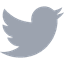twitter icon